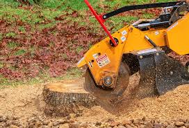 Best Tree Mulching Services  in Kerrville, TX